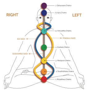 Nadis (The Channels)